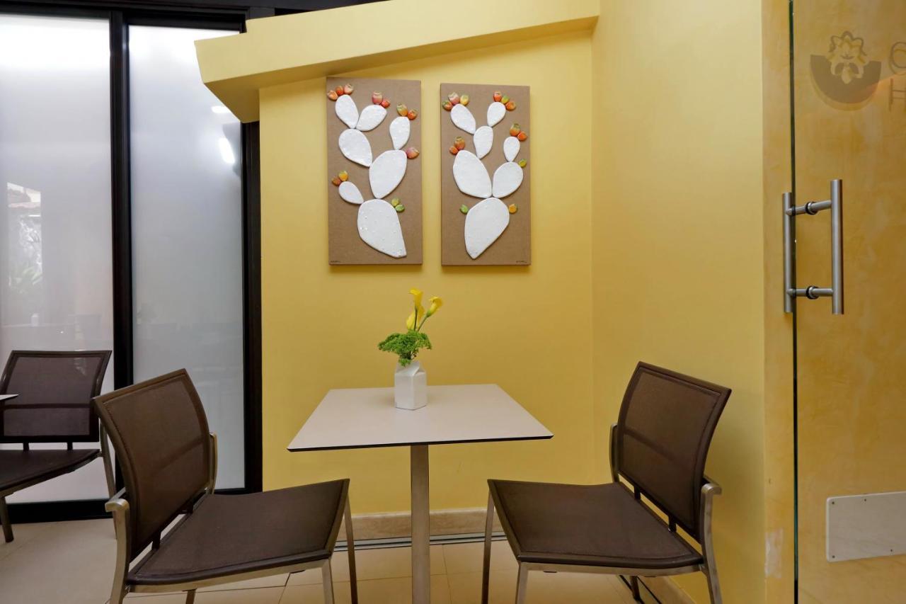 Camelia Hotel 3*