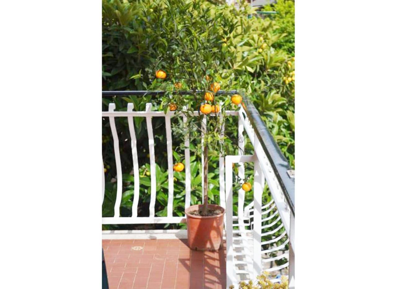 Casa Celeste Guest house Rome