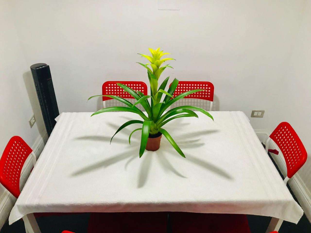 Holiday Guest house *