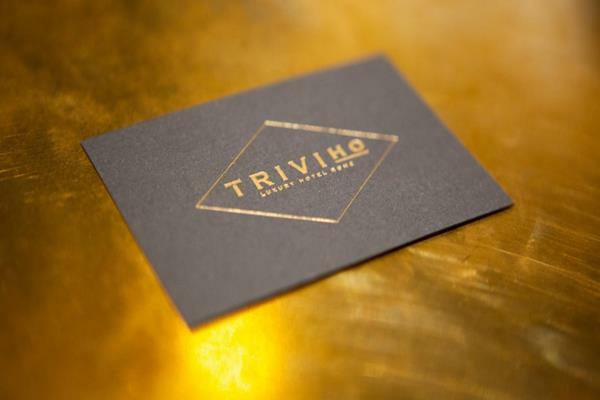 Triviho Hotel Rome