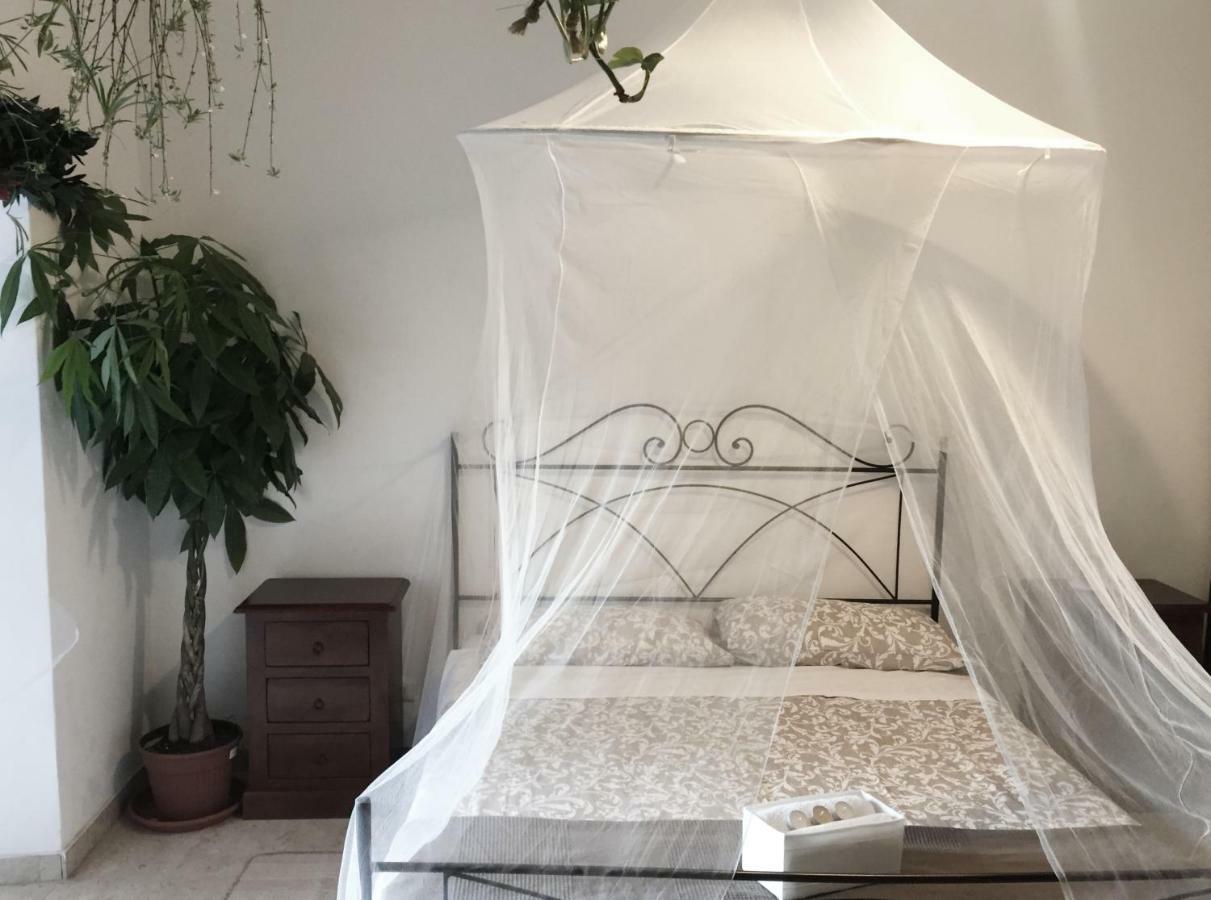 Tempus Albergue