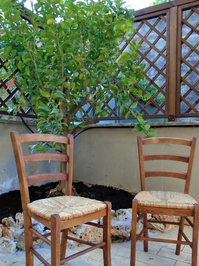 Guest house La Tana Di Sofia 2*
