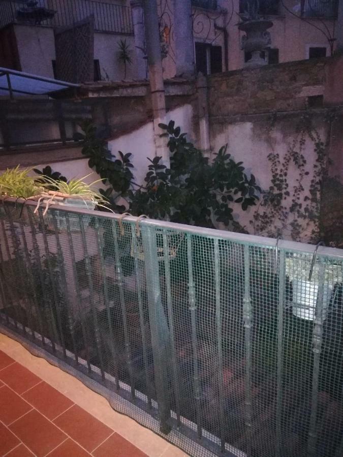 Apartment Teatro Pace *