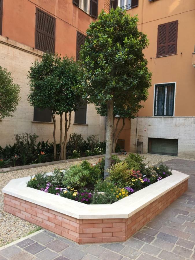 Gio Colosseo - Celio Bed & Breakfast Rome