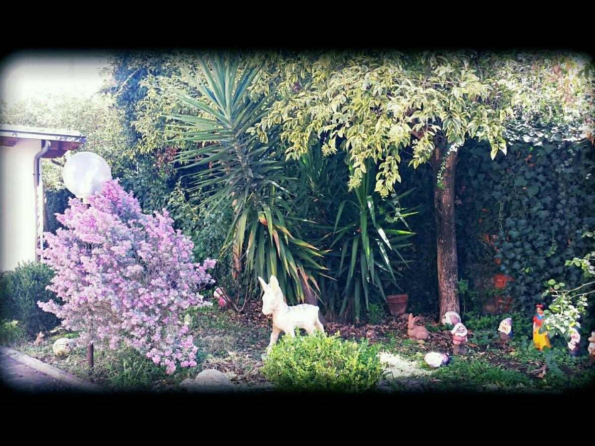 Homestay La Casa Degli Artisti Rome