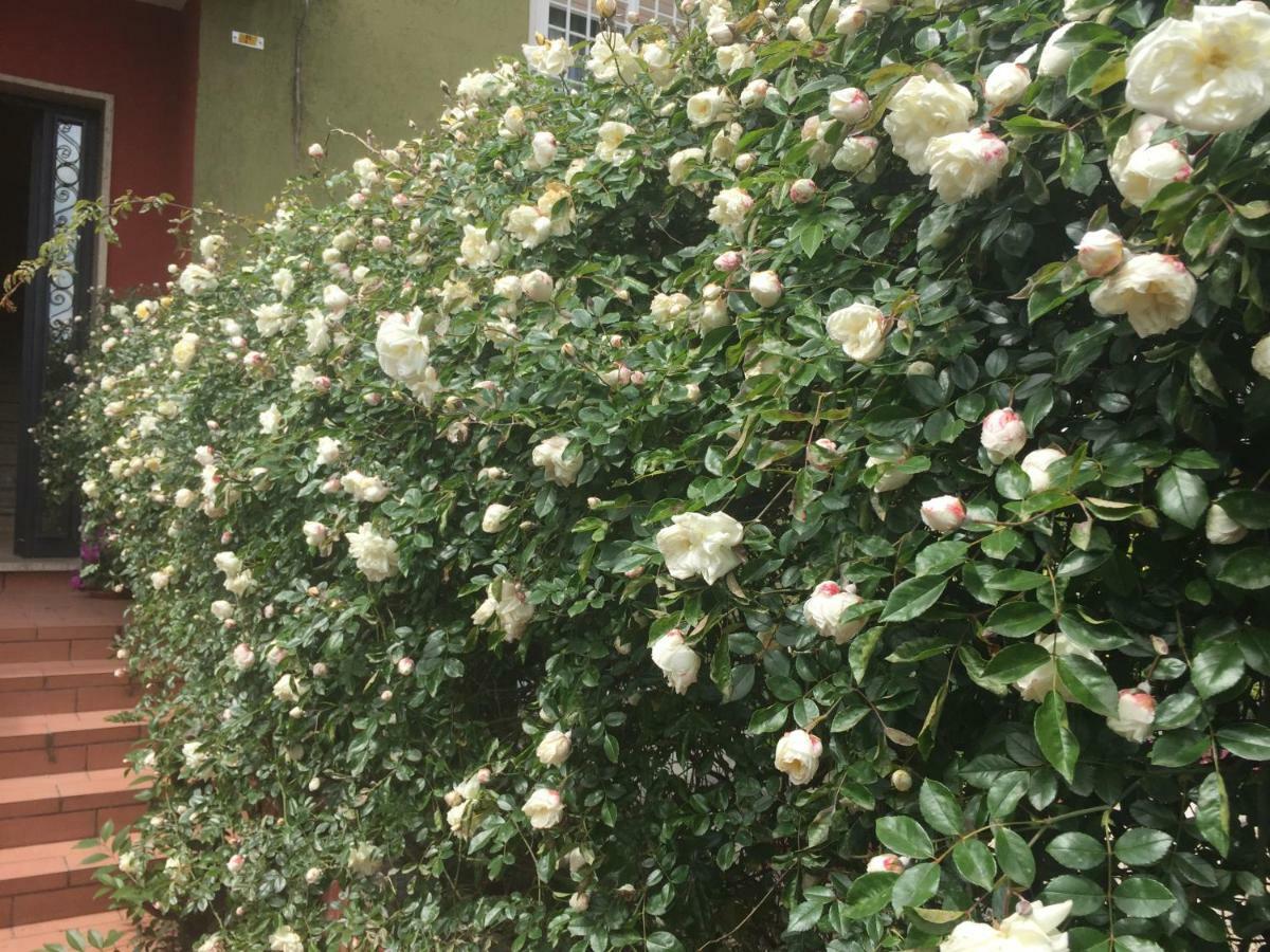 Apartamento Il Villino Verde Roma