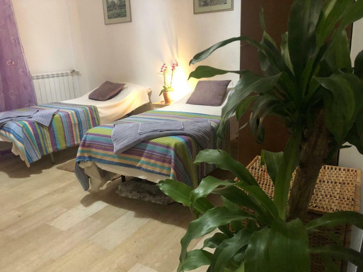 Lizart Garden Guest house