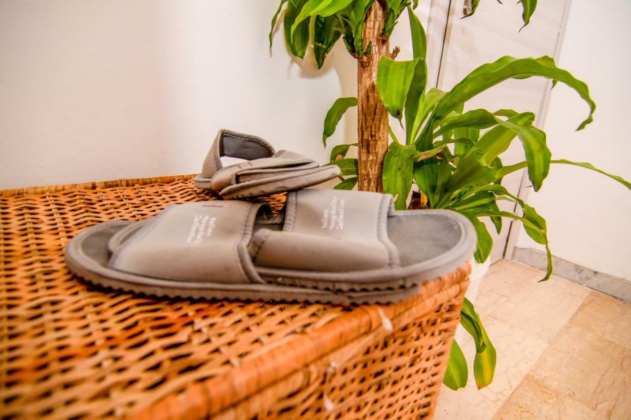 Lizart Garden Guest house Rome