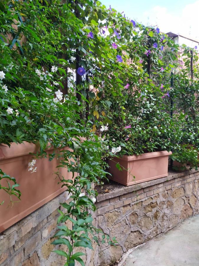 Guest house Angolo Sul Giardino