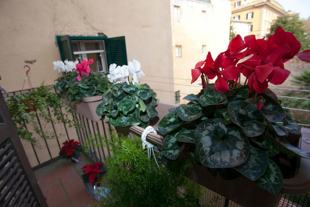 Apartamento Magenta Luxury Purificazione Roma