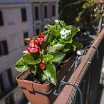 Tiberim Apartment Trastevere 9