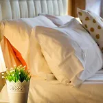 Trastevere Alexander Rental In Rome