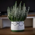 Rione Monti Home