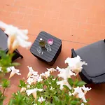 Mr Brown Suites - Eur