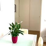 Casa Con Giardinetto Al Centro Di Roma