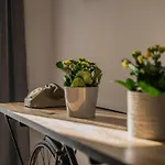Vintage Cipro Apartment