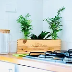 Plant House Roma San Paolo
