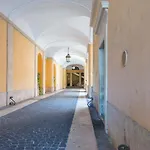 Piazza Venezia Charming & Bright Apartment