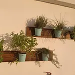 Domus Vacanze Romane