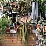 Lizartgarden Panoramic