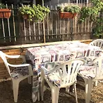Lizartgarden Panoramic