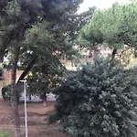 In The Garden