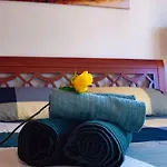 The Cozy Flat In Roma Eur