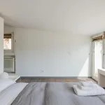 Farnesi Terrace Penthouse
