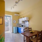 B&B Anturium