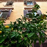 Roma Saba Home