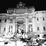 My Trevi Rooms 88