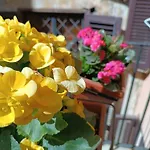 Elegant Rooms Roma - Guest House