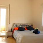 Mikasa Balduina Roma