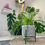 Greenchill House - West Rome