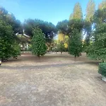 Alloggio Turistico Agiati