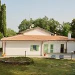 Green Woody Home