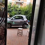 Pettirosso8