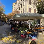 Il Giardino Di Frida