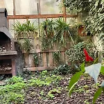 Il Giardino Di Frida