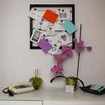 Testaccio Xix-Xxv Bed And Breakfast
