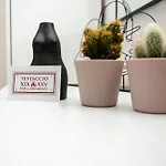 Testaccio Xix-Xxv Bed And Breakfast