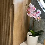 Plumbird Boutique & Apartment