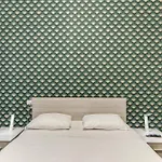 New Flat Near Termini Station