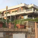 Domus Apartments