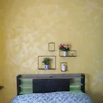 Maddy House Roma