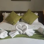 Romalive Hotel