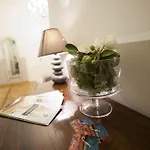 Florian Rooms Guest House