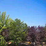 Elements Guest House