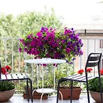 Relais Star Of Trastevere