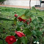 Villino Appio
